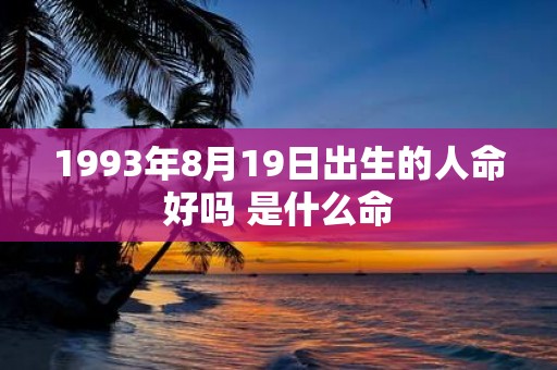 1993年8月19日出生的人命好吗 是什么命