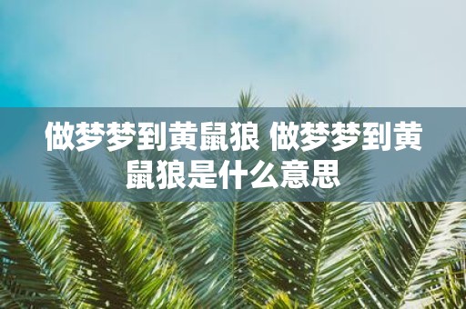 做梦梦到黄鼠狼 做梦梦到黄鼠狼是什么意思