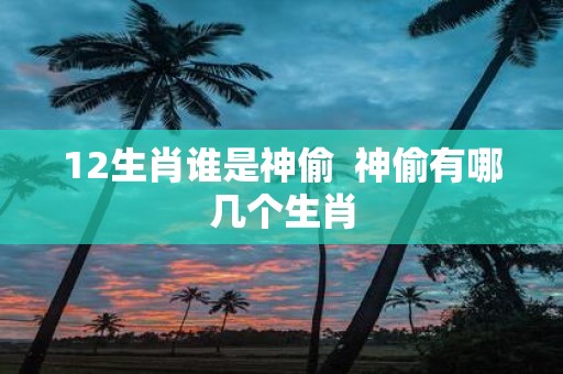 12生肖谁是神偷 神偷有哪几个生肖