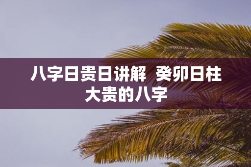 八字日贵日讲解 癸卯日柱大贵的八字