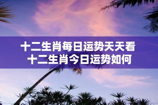 十二生肖每日运势天天看 十二生肖今日运势如何