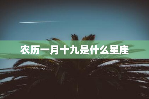 农历一月十九是什么星座
