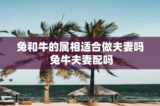 兔和牛的属相适合做夫妻吗 兔牛夫妻配吗