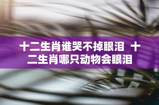 十二生肖谁哭不掉眼泪 十二生肖哪只动物会眼泪
