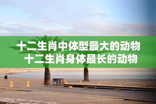 十二生肖中体型最大的动物 十二生肖身体最长的动物