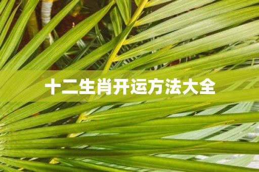 十二生肖开运方法大全