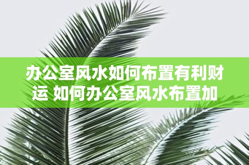 办公室风水如何布置有利财运 如何办公室风水布置加财运