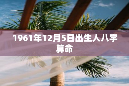 1961年12月5日出生人八字算命