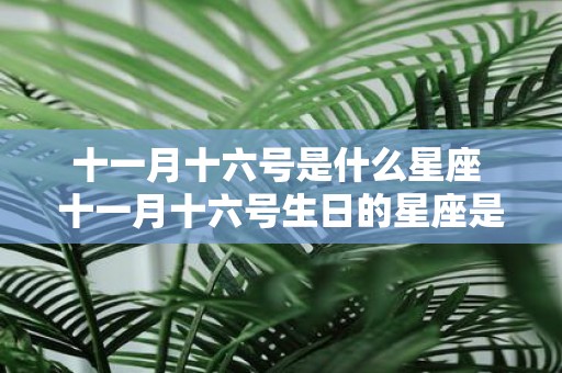十一月十六号是什么星座 十一月十六号生日的星座是