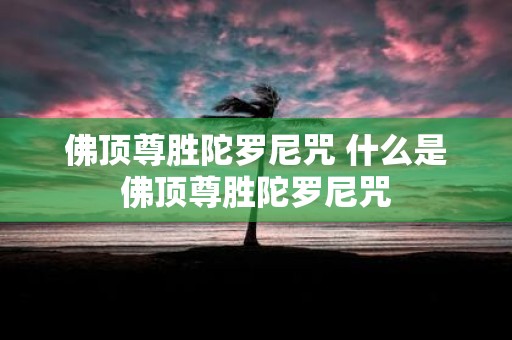 佛顶尊胜陀罗尼咒 什么是佛顶尊胜陀罗尼咒