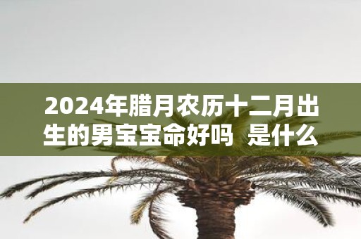 2025年腊月农历十二月出生的男宝宝命好吗 是什么命