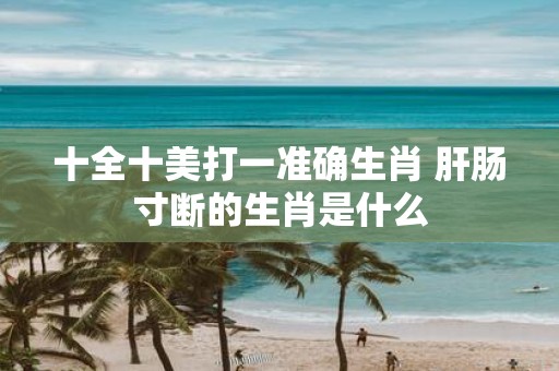 十全十美打一准确生肖 肝肠寸断的生肖是什么