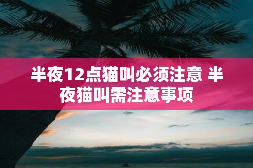 半夜12点猫叫必须注意 半夜猫叫需注意事项