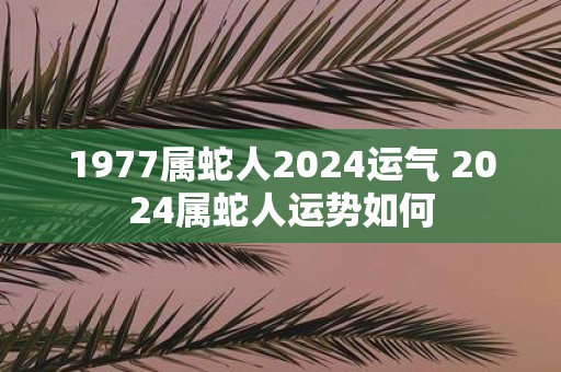 1977属蛇人2025运气 2025属蛇人运势如何