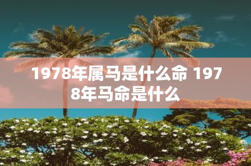 1978年属马是什么命 1978年马命是什么