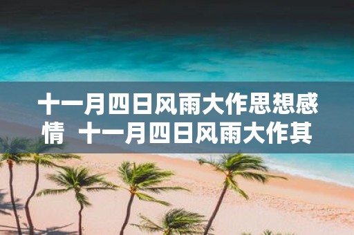十一月四日风雨大作思想感情 十一月四日风雨大作其二思想感情
