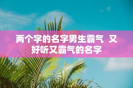 两个字的名字男生霸气 又好听又霸气的名字