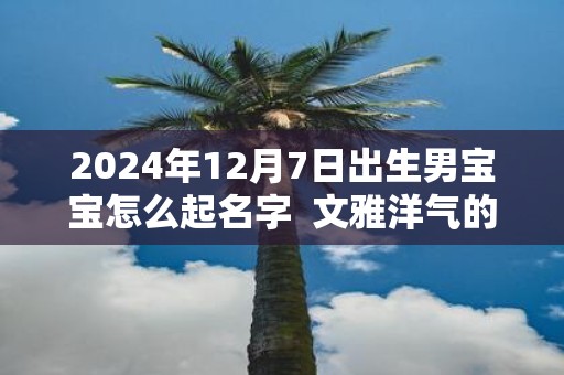 2025年12月7日出生男宝宝怎么起名字 文雅洋气的名字大全