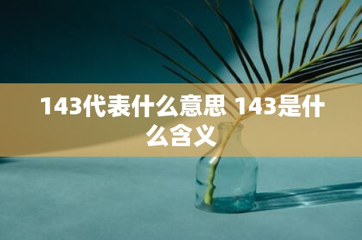 143代表什么意思 143是什么含义
