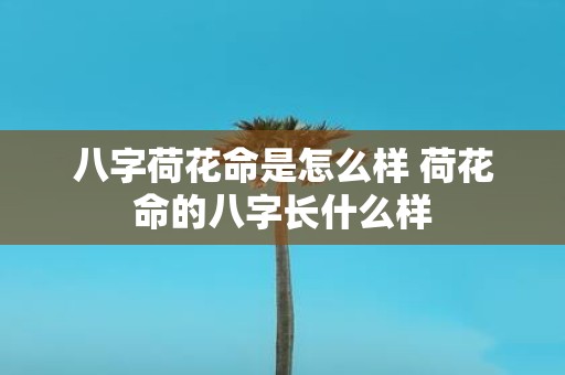 八字荷花命是怎么样 荷花命的八字长什么样