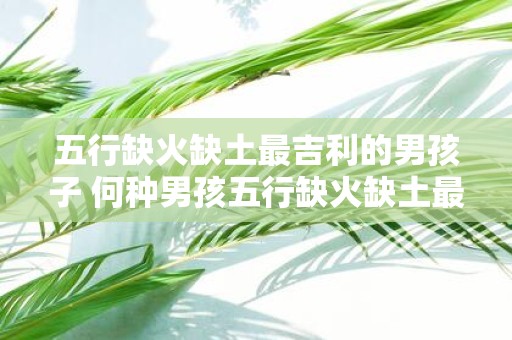 五行缺火缺土最吉利的男孩子 何种男孩五行缺火缺土最吉利