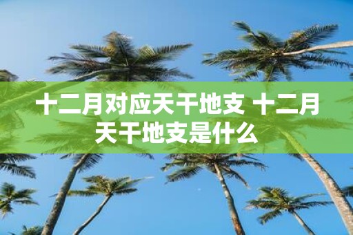 十二月对应天干地支 十二月天干地支是什么