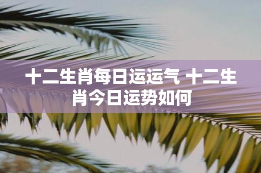 十二生肖每日运运气 十二生肖今日运势如何