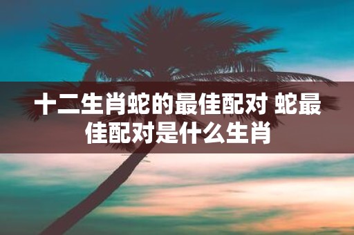 十二生肖蛇的最佳配对 蛇最佳配对是什么生肖