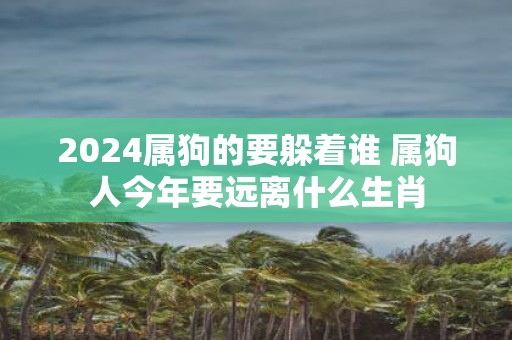 2025属狗的要躲着谁 属狗人今年要远离什么生肖