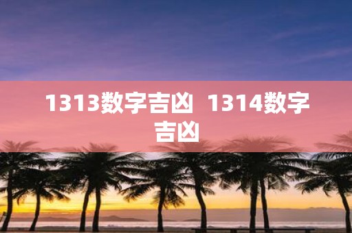 1313数字吉凶 1314数字吉凶