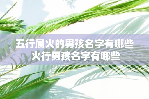 五行属火的男孩名字有哪些 火行男孩名字有哪些