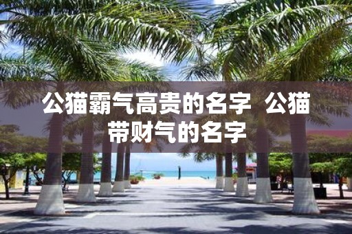 公猫霸气高贵的名字 公猫带财气的名字
