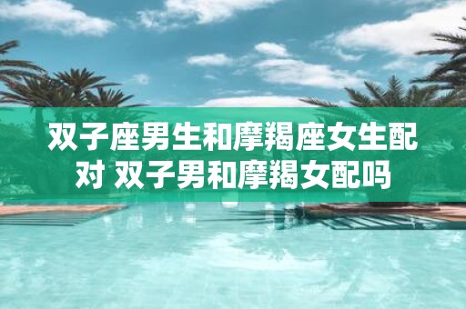 双子座男生和摩羯座女生配对 双子男和摩羯女配吗