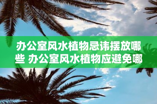 办公室风水植物忌讳摆放哪些 办公室风水植物应避免哪些