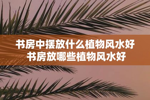书房中摆放什么植物风水好 书房放哪些植物风水好