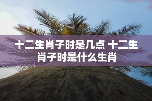 十二生肖子时是几点 十二生肖子时是什么生肖