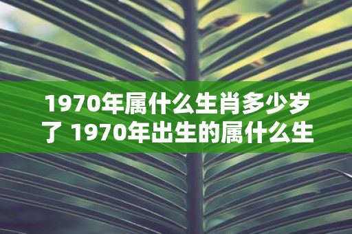 1970年属什么生肖多少岁了 1970年出生的属什么生肖年龄多少