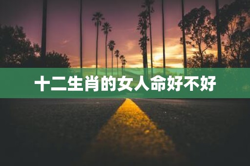 十二生肖的女人命好不好