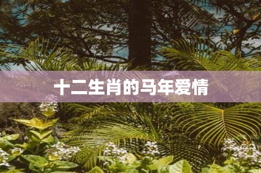 十二生肖的马年爱情