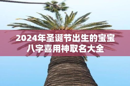 2025年圣诞节出生的宝宝八字喜用神取名大全