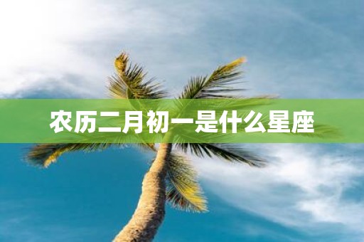 农历二月初一是什么星座