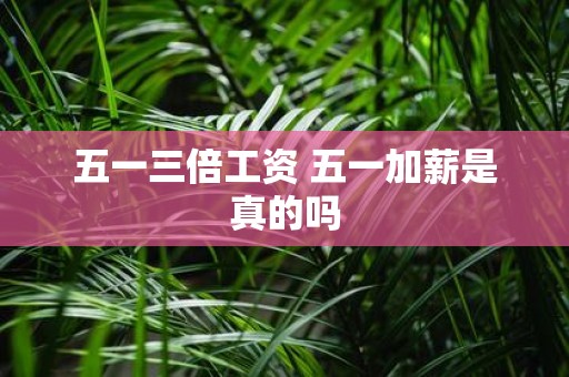 五一三倍工资 五一加薪是真的吗