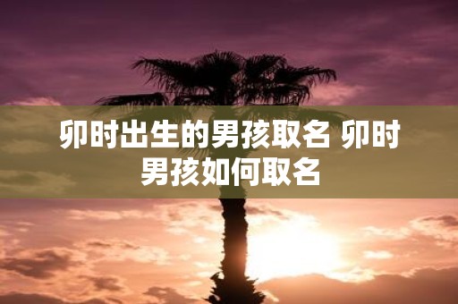 卯时出生的男孩取名 卯时男孩如何取名