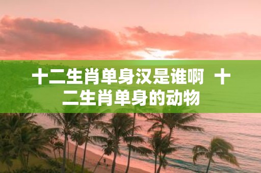 十二生肖单身汉是谁啊 十二生肖单身的动物