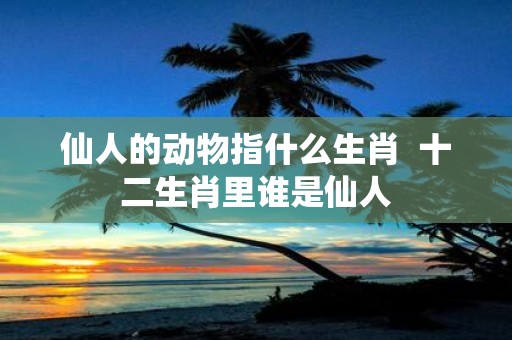 仙人的动物指什么生肖 十二生肖里谁是仙人
