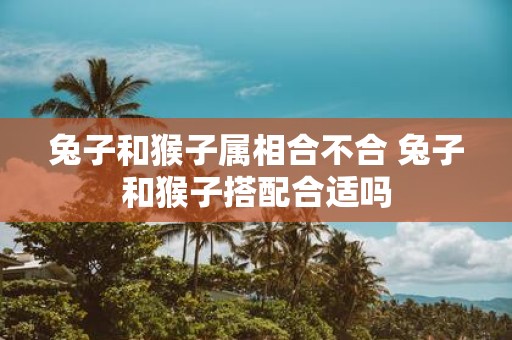 兔子和猴子属相合不合 兔子和猴子搭配合适吗
