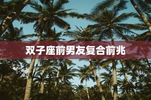 双子座前男友复合前兆
