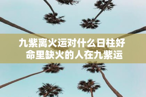 九紫离火运对什么日柱好 命里缺火的人在九紫运