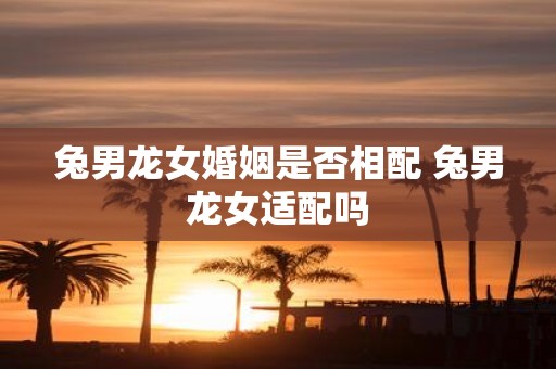 兔男龙女婚姻是否相配 兔男龙女适配吗