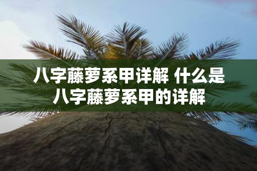 八字藤萝系甲详解 什么是八字藤萝系甲的详解
